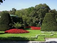 Blumen und Büsche im Stadtpark